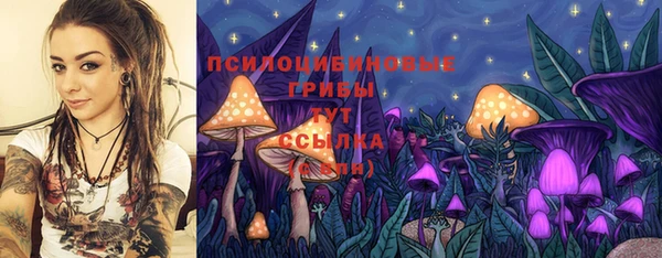 экстази Лабытнанги