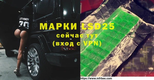 ECSTASY Кукмор